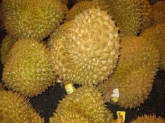 快速瘦身食谱,如何减肥瘦身最快