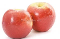 菜谱牛腩配什么食材炖菜才好吃,牛腩搭配什么最