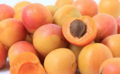 杏和螃蟹能一起吃吗？杏子和螃蟹一起吃好吗？